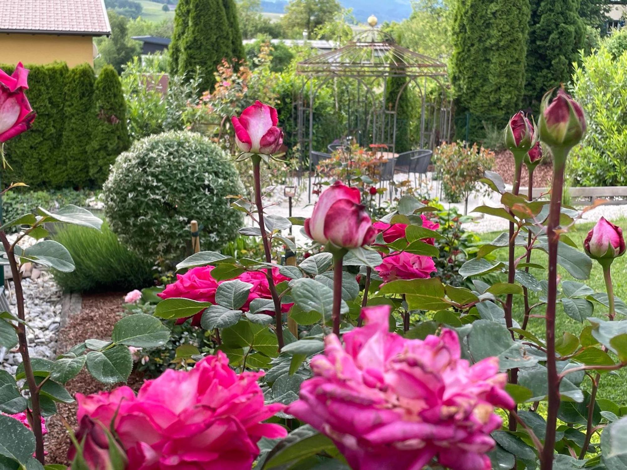 Bed And Breakfast Mittelkaernten Althofen  Exterior photo